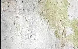 INTERIOR FINISHING White washing with lime to give an even shade New work (three or more coats)