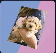A4 Size Color Print Out Photo Paper